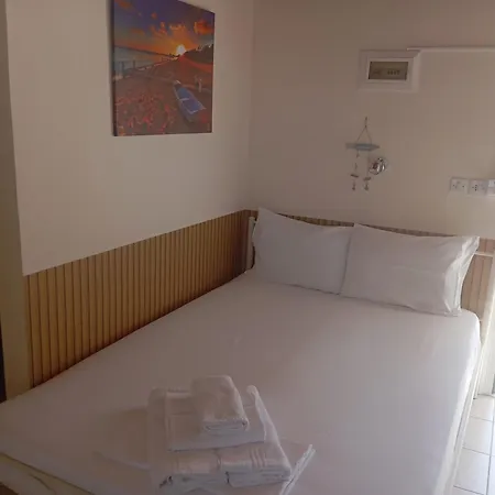 ελένη Nea Iraklitsa